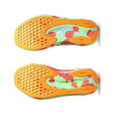 Asics Čevlji obutev za tek 39 EU Noosa Tri 15