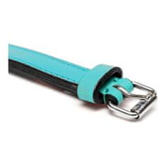 GLORIA Pasja ovratnica Gloria Podložen Turquoise 40 cm (40 x 2 cm)