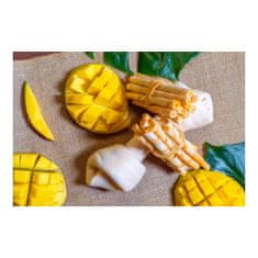 GLORIA Prigrizek za pse Gloria Snackys Rawhide 20-23 cm