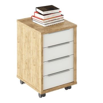 KONDELA Rioma tip 14 kontejner na kolesih