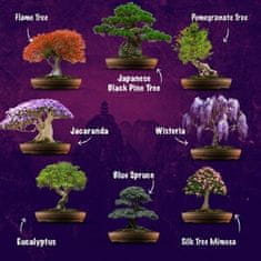 Grow Buddha SET - Bonsai Easy, gojenje 8. vrst rastlin + škarje