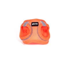 GLORIA Pas za psa Gloria Trek Star 24-26 cm 28-28,6 cm Oranžna XXS