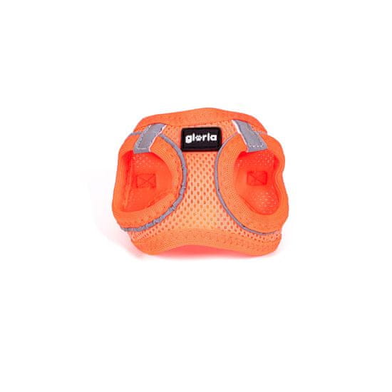 GLORIA Pas za psa Gloria Trek Star 24-26 cm 28-28,6 cm Oranžna XXS