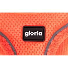 GLORIA Pas za psa Gloria Trek Star 24-26 cm 28-28,6 cm Oranžna XXS