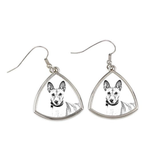 Artdog Basenji, Basenji, Congo Dog - pasji uhani, viseči uhani s fotografijo, personaliziran nakit s potiskom Art-Dog