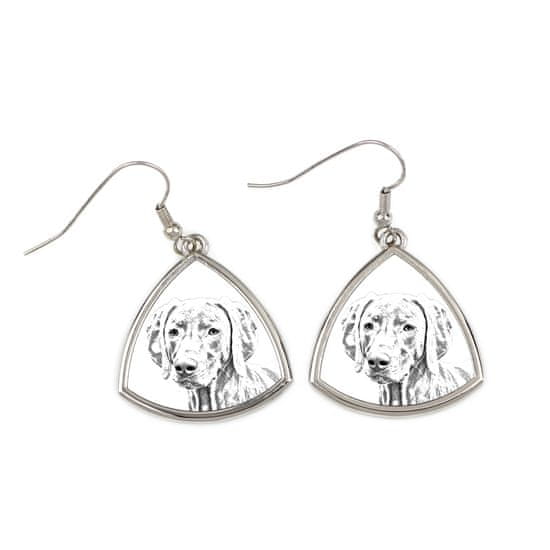 Artdog Weimaraner, Weimaraner - pasji uhani, viseči uhani s fotografijo, personaliziran nakit s tiskom Art-Dog