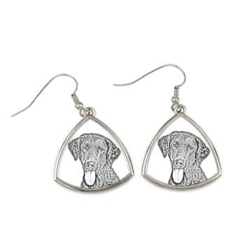 Artdog Curly Coated Retriever - pasji uhani, viseči uhani s fotografijo, personaliziran nakit s potiskom Art-Dog