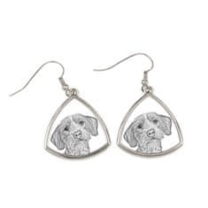 Artdog Breton Basset Hound, Basset Fauve de Bretagne - pasji uhani, viseči uhani s fotografijo, personaliziran nakit s potiskom Art-Dog