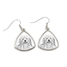 Artdog Coton de Tulear - pasji uhani, viseči uhani s fotografijo, personaliziran nakit s potiskom Art-Dog
