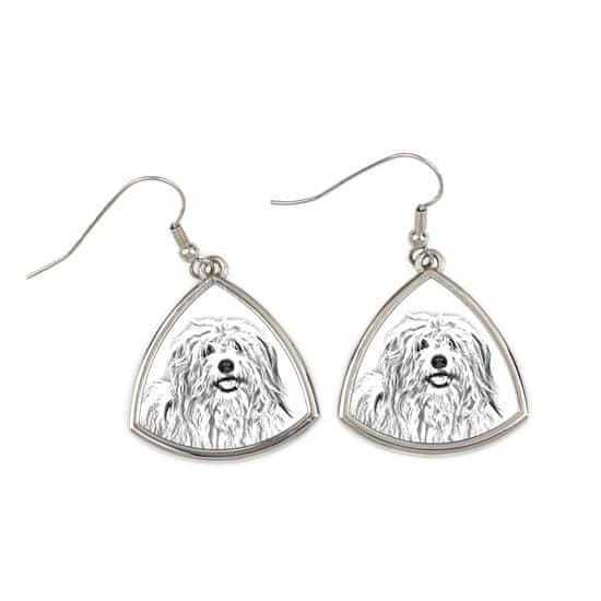 Artdog Coton de Tulear - pasji uhani, viseči uhani s fotografijo, personaliziran nakit s potiskom Art-Dog