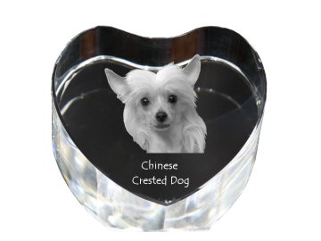 Artdog Kitajski čopasti pes - fotografija psa v kristalu, kristalno srce, unikaten foto okvir Art-Dog