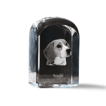 Artdog Beagle - kristalna kocka s fotografijo, fotografija psa v kristalu, kubični obtežilnik za papir Art-Dog