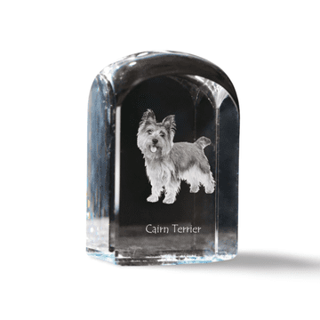 Artdog Cairn terier - kristalna kocka s fotografijo, fotografija psa v kristalu, kubični obtežilnik za papir Art-Dog