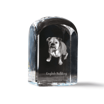 Artdog Angleški buldog, Bulldog - kristalna kocka s fotografijo, fotografija psa v kristalu, kubični obtežilnik za papir Art-Dog
