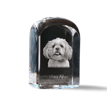 Artdog Lhasa Apso - kristalna kocka s fotografijo, fotografija psa v kristalu, kubični obtežilnik za papir Art-Dog