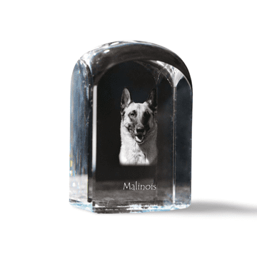 Artdog Belgijski ovčar Malinois - kristalna kocka s fotografijo, fotografija psa v kristalu, kubični obtežilnik za papir Art-Dog