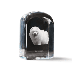 Artdog Samoyed, Samoyed, Samoyedskaya - kristalna kocka s fotografijo, fotografija psa v kristalu, kubični obtežilnik za papir Art-Dog
