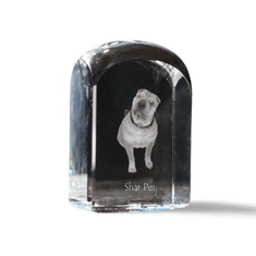 Artdog Shar Pei - kristalna kocka s fotografijo, fotografija psa v kristalu, kubični obtežilnik za papir Art-Dog