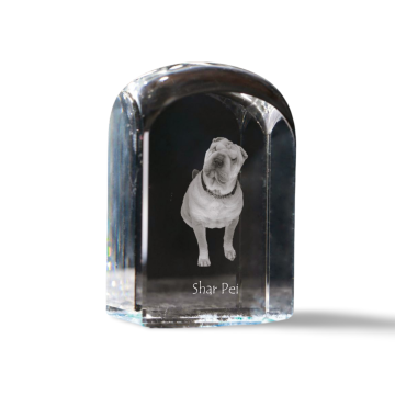 Artdog Shar Pei - kristalna kocka s fotografijo, fotografija psa v kristalu, kubični obtežilnik za papir Art-Dog