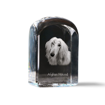 Artdog Afganistanski hrt - kristalna kocka s fotografijo, fotografija psa v kristalu, kubični obtežilnik za papir Art-Dog