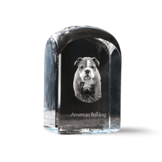 Artdog Ameriški buldog - kristalna kocka s fotografijo, fotografija psa v kristalu, kubični obtežilnik za papir Art-Dog