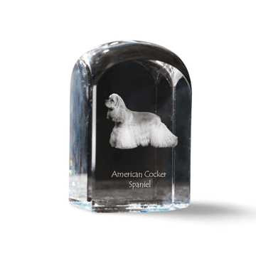 Artdog Ameriški koker španjel - kristalna kocka s fotografijo, fotografija psa v kristalu, kubični obtežilnik za papir Art-Dog