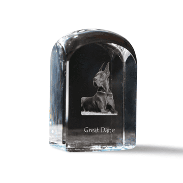 Artdog Nemška doga I - kristalna kocka s fotografijo, fotografija psa v kristalu, kubični obtežilnik za papir Art-Dog