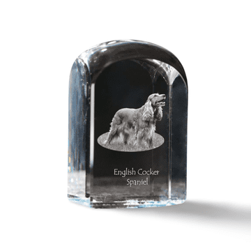 Artdog Angleški koker španjel - kristalna kocka s fotografijo, fotografija psa v kristalu, kubični obtežilnik za papir Art-Dog