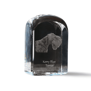 Artdog Kerry Blue Terrier, Irski Blue Terrier - kristalna kocka s fotografijo, fotografija psa v kristalu, kubični obtežilnik za papir Art-Dog