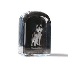Artdog Sibirski haski, Sibirski haski - kristalna kocka s fotografijo, fotografija psa v kristalu, kubični obtežilnik za papir Art-Dog