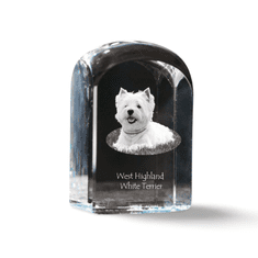 Artdog Westhighland White Terrier, Westie - kristalna kocka s fotografijo, fotografija psa v kristalu, kubični obtežilnik za papir Art-Dog