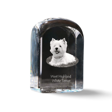 Artdog Westhighland White Terrier, Westie - kristalna kocka s fotografijo, fotografija psa v kristalu, kubični obtežilnik za papir Art-Dog