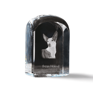 Artdog Podenco z Ibize, Podenco Ibicenco - kristalna kocka s fotografijo, fotografija psa v kristalu, kubični obtežilnik za papir Art-Dog