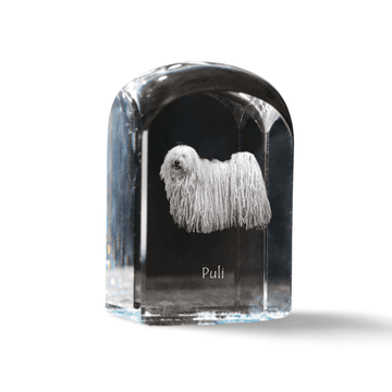 Artdog Puli - kristalna kocka s fotografijo, fotografija psa v kristalu, kubični obtežilnik za papir Art-Dog