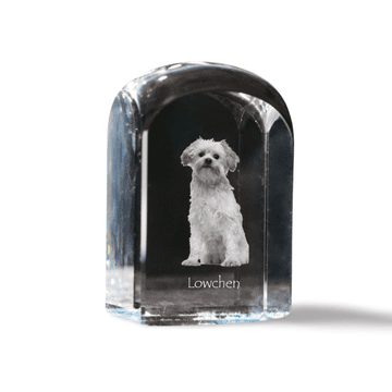 Artdog Levji pes, Lowchen - kristalna kocka s fotografijo, fotografija psa v kristalu, kubični obtežilnik za papir Art-Dog