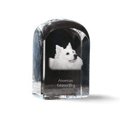 Artdog Ameriški eskimski pes, ameriški špic - kristalna kocka s fotografijo, fotografija psa v kristalu, kubični obtežilnik za papir Art-Dog