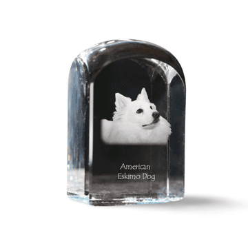 Artdog Ameriški eskimski pes, ameriški špic - kristalna kocka s fotografijo, fotografija psa v kristalu, kubični obtežilnik za papir Art-Dog