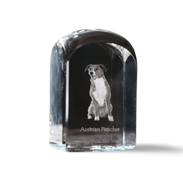 Artdog Avstrijski pinč, avstrijski pinč - kristalna kocka s fotografijo, fotografija psa v kristalu, kubični obtežilnik za papir Art-Dog