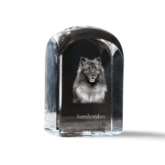 Artdog Wolf Spitz, Keeshond - kristalna kocka s fotografijo, fotografija psa v kristalu, kubični obtežilnik za papir Art-Dog