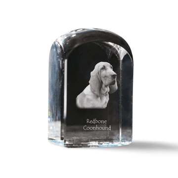 Artdog Redbone Coonhound - kristalna kocka s fotografijo, fotografija psa v kristalu, kubični obtežilnik za papir Art-Dog