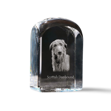 Artdog Škotski hrt, Deerhound - kristalna kocka s fotografijo, fotografija psa v kristalu, kubični obtežilnik za papir Art-Dog