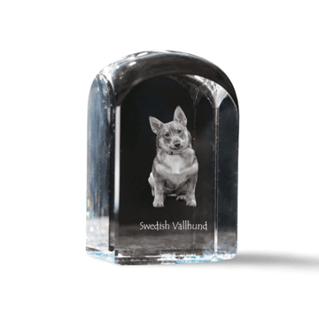 Artdog Swedish Vallhund, Swedish Sheepdog - kristalna kocka s fotografijo, fotografija psa v kristalu, kubični obtežilnik za papir Art-Dog
