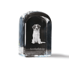 Artdog Kooikerhondje - kristalna kocka s fotografijo, fotografija psa v kristalu, kubični obtežilnik za papir Art-Dog
