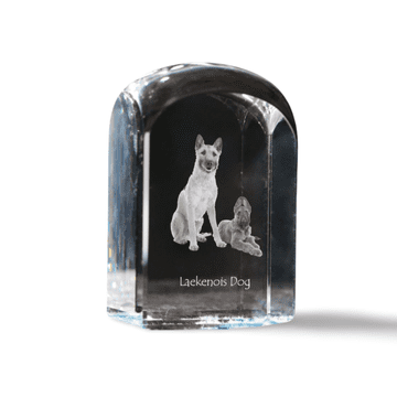 Artdog Belgijski ovčar Laekenois - kristalna kocka s fotografijo, fotografija psa v kristalu, kubični obtežilnik za papir Art-Dog