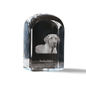 Artdog Black and tan coonhound - kristalna kocka s fotografijo, fotografija psa v kristalu, kubični obtežilnik za papir Art-Dog