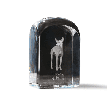 Artdog Cirneco dell'Etna, Sicilijanski hrt - kristalna kocka s fotografijo, fotografija psa v kristalu, kubični obtežilnik za papir Art-Dog