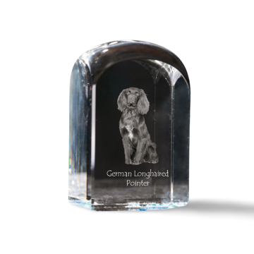 Artdog Nemški kratkodlaki ptičar - kristalna kocka s fotografijo, fotografija psa v kristalu, kubični obtežilnik za papir Art-Dog