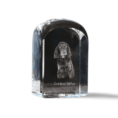 Artdog Škotski seter, Gordon Setter - kristalna kocka s fotografijo, fotografija psa v kristalu, kubični obtežilnik za papir Art-Dog