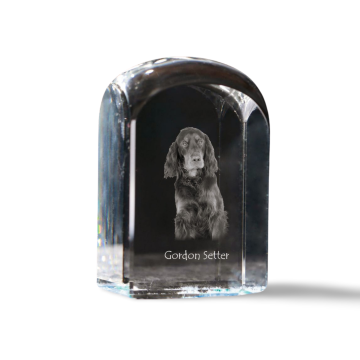 Artdog Škotski seter, Gordon Setter - kristalna kocka s fotografijo, fotografija psa v kristalu, kubični obtežilnik za papir Art-Dog