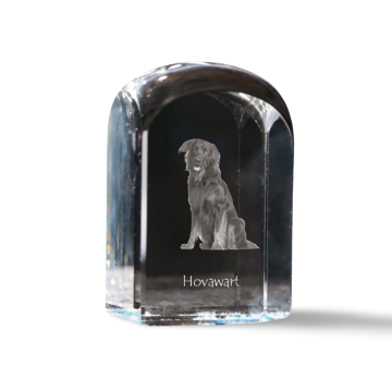 Artdog Hovawart - kristalna kocka s fotografijo, fotografija psa v kristalu, kubični obtežilnik za papir Art-Dog